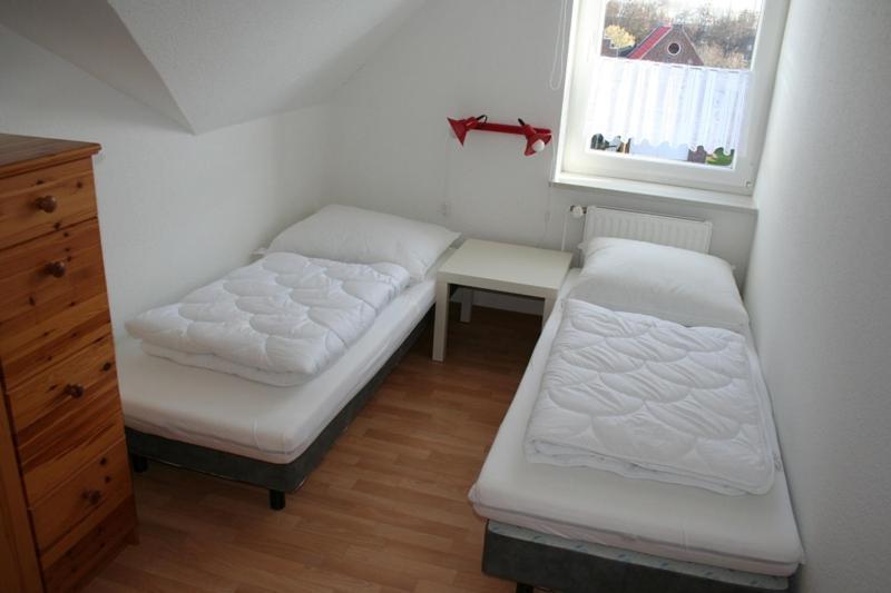 Moewennest *